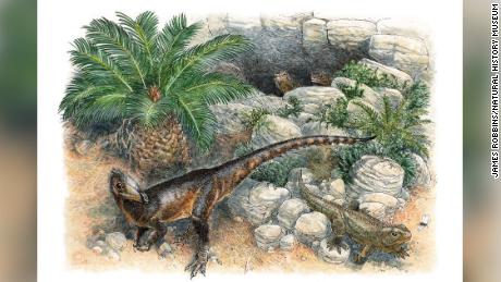 The Dinky Dinosaur was the youngest of its kind when it roamed Wales 200 million years ago