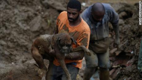 A man carries a dog away from the affected area.
