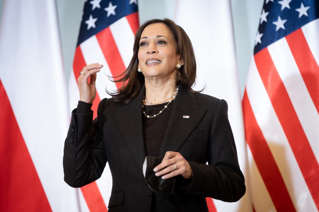 Kamala Harris says Democrats' job before the midterms is to tell voters 'they got what they asked for' on Biden's promises