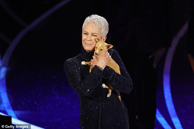 Sweethearts: Curtis first brought the pup — adorably named Mac N Cheese — in her arms on the Dolby Theater at the 94th Academy Awards during the memorial segment as she gave a few words about the on-screen legend and highlighted her work to save the animal community