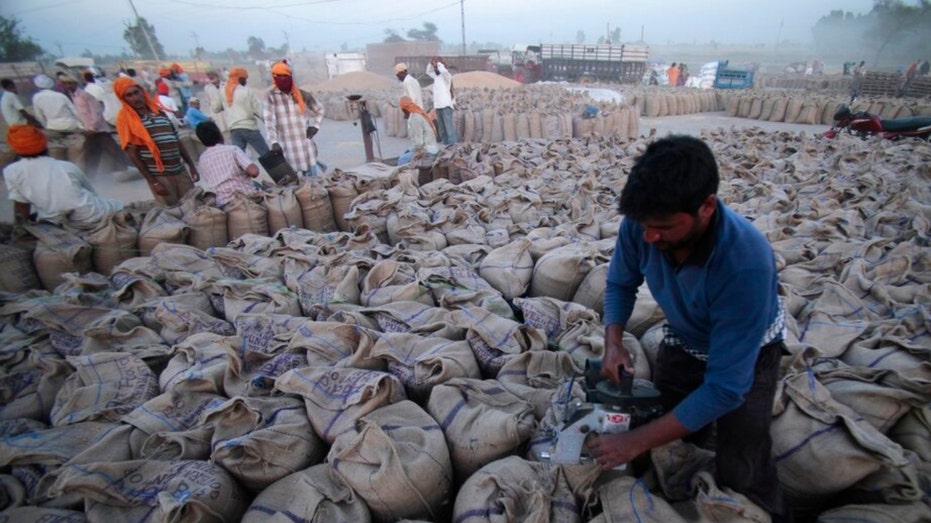 A worker closes sacks full of wheat in India