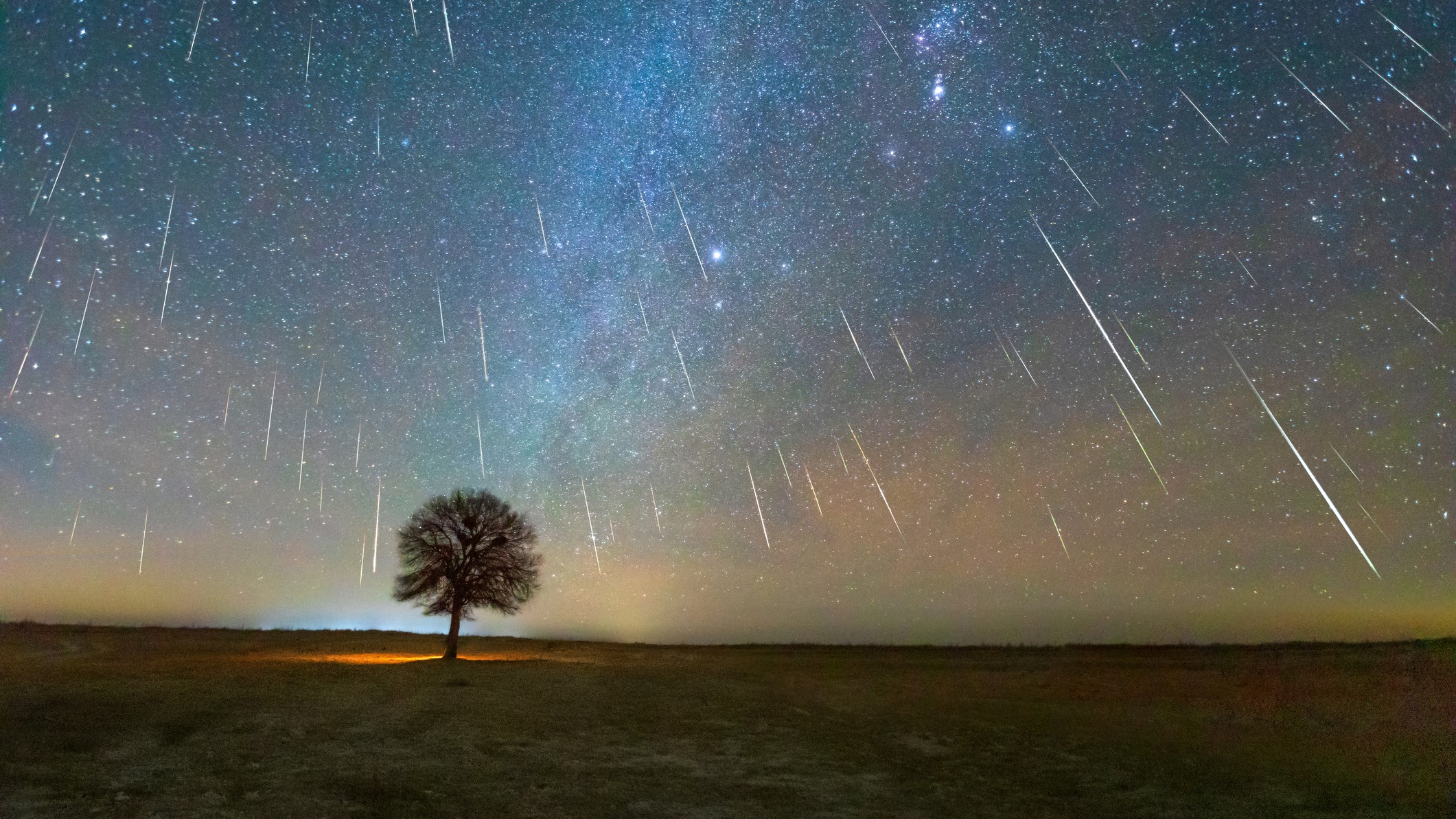 Geminid meteor with tree silhouette in the foreground.