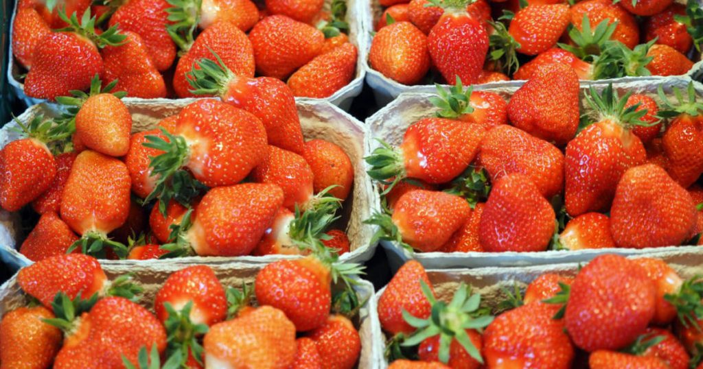 The U.S. Food and Drug Administration says strawberries likely caused the hepatitis A outbreak