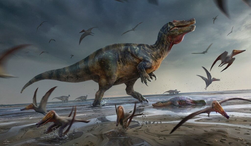 British fossil hunter discovers Europe's largest predatory dinosaur