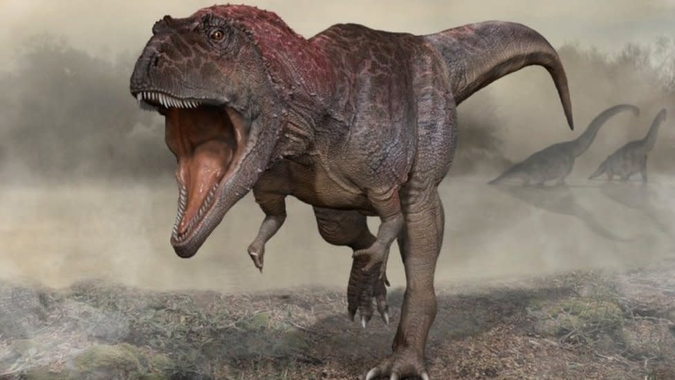 Dinosaur discovery hints at why T-rex had small arms