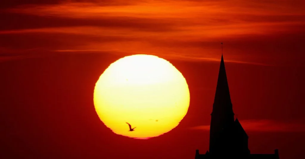 A heat wave is burning Europe.  Issuing health warnings