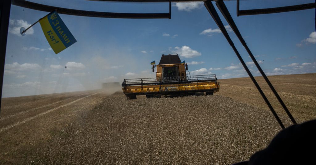 Crops 'stocked everywhere': Ukraine's harvest is piling up